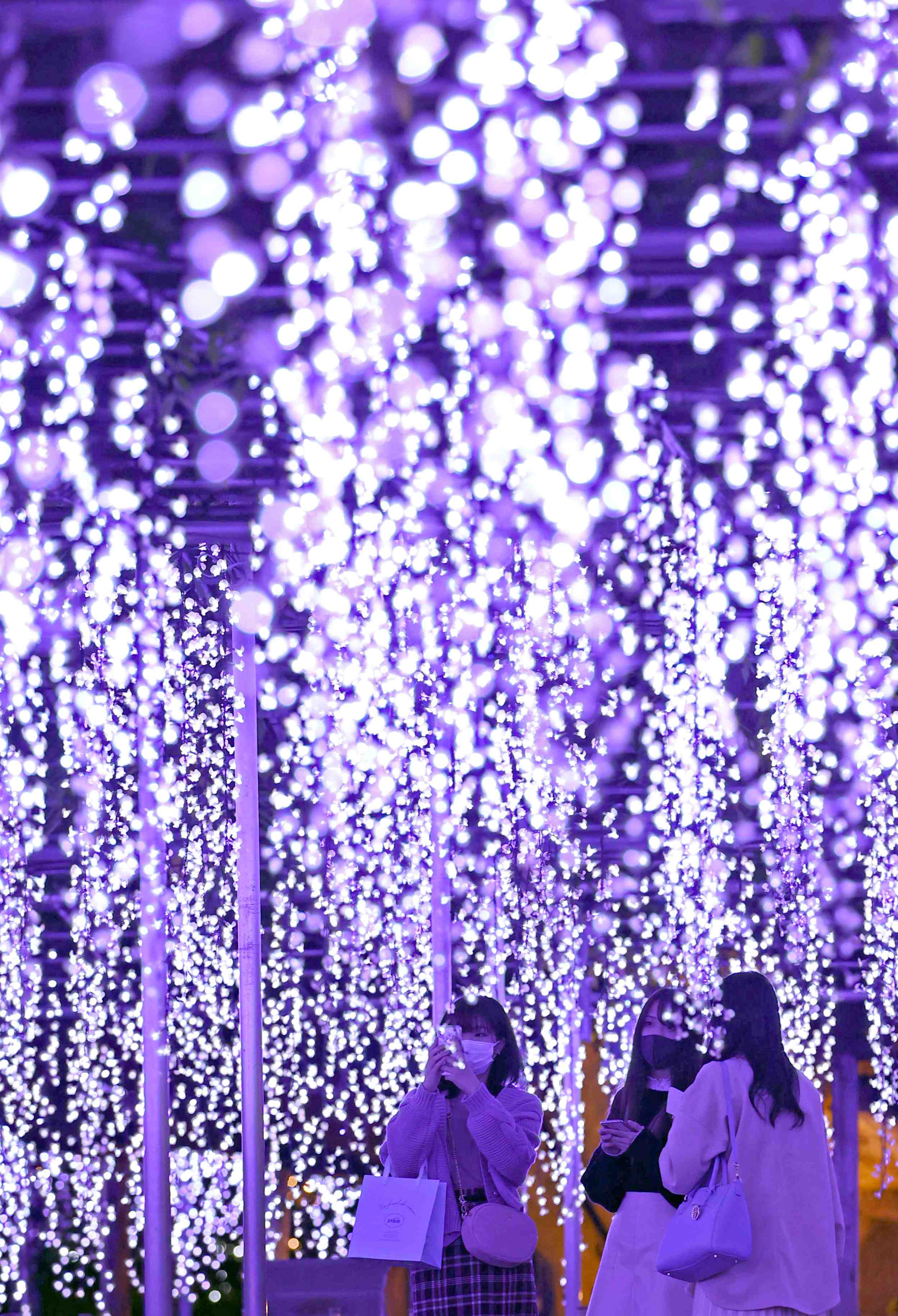 The Illuminated Park　閃光の庭　なかにしけふこ Hidden Wonders of Japan] Find the Colors of Kimetsu no Yaiba